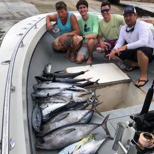 Meet your Posher, Jordan